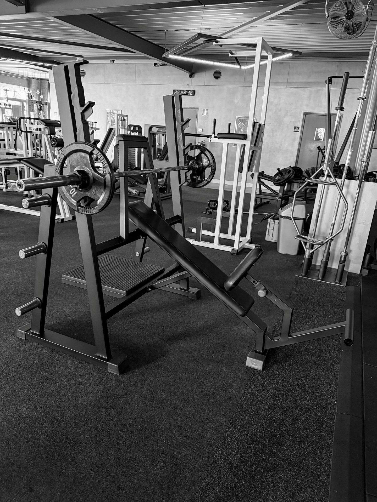 Fitness